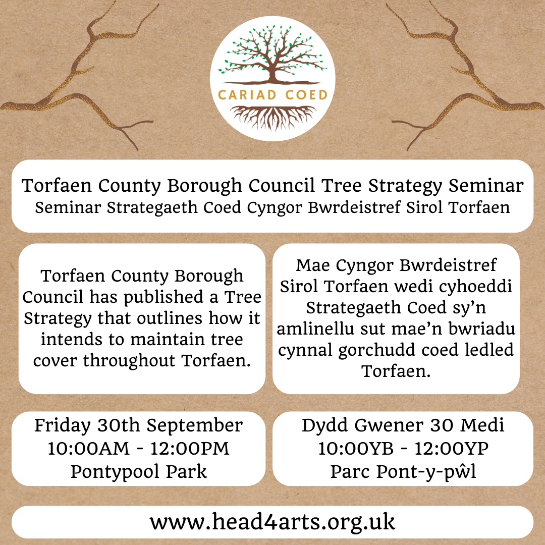 torfaen-county-borough-council-tree-strategy-seminar