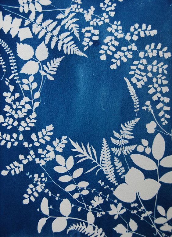 using-cyanotype-photography-to-make-botanical-prints