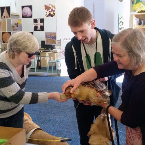 audio-described-tours-at-national-museum-cardiff-national-museum-cardiff