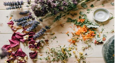 introduction-to-natural-dyes-exploring-colour-pattern-and-textile-design
