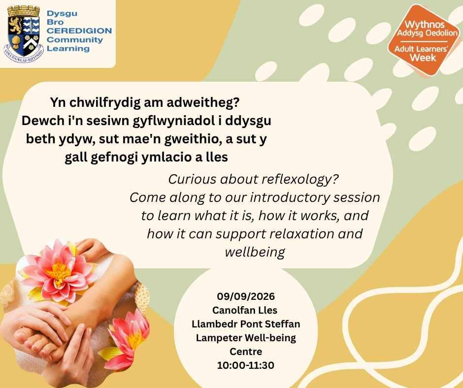 copilot-said-cyflwyniad-i-adweitheg